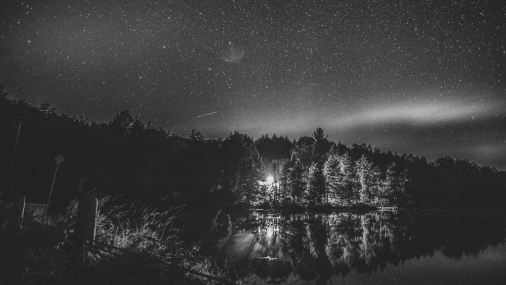 Greyscale Aurora Borealis in a forest with a bright light under the stars