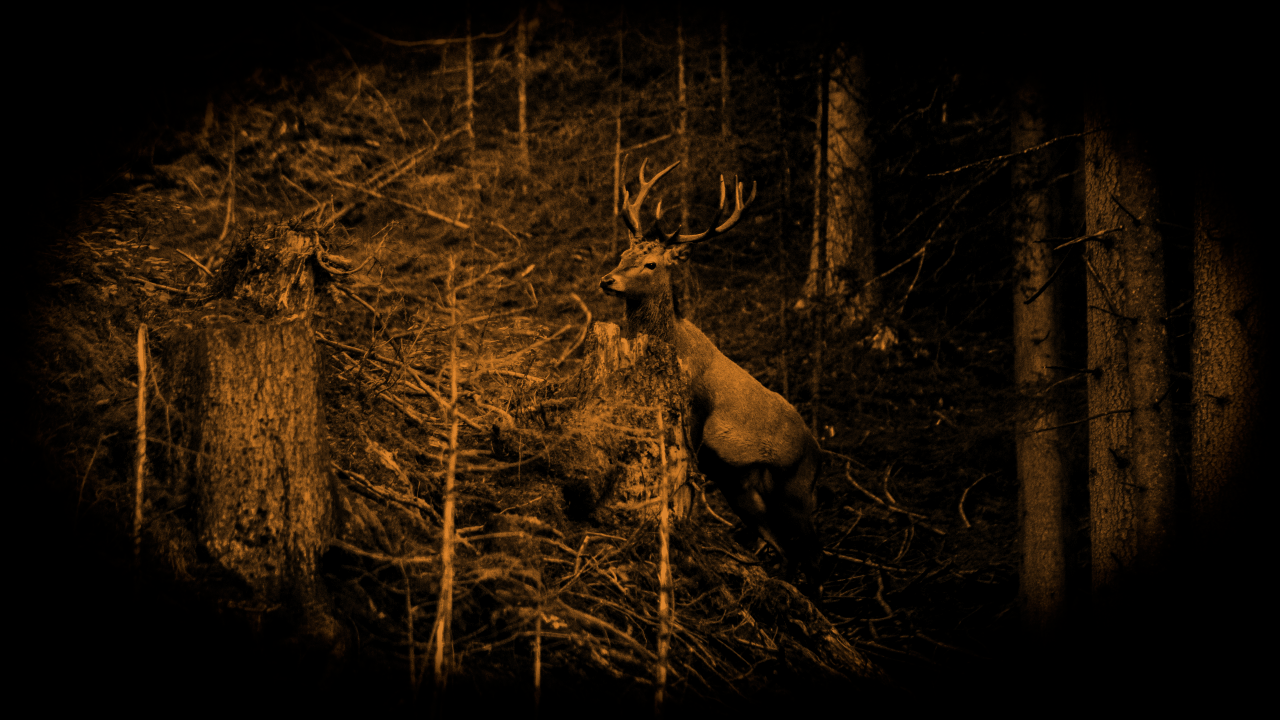 reindeer in the woods sepia vignette