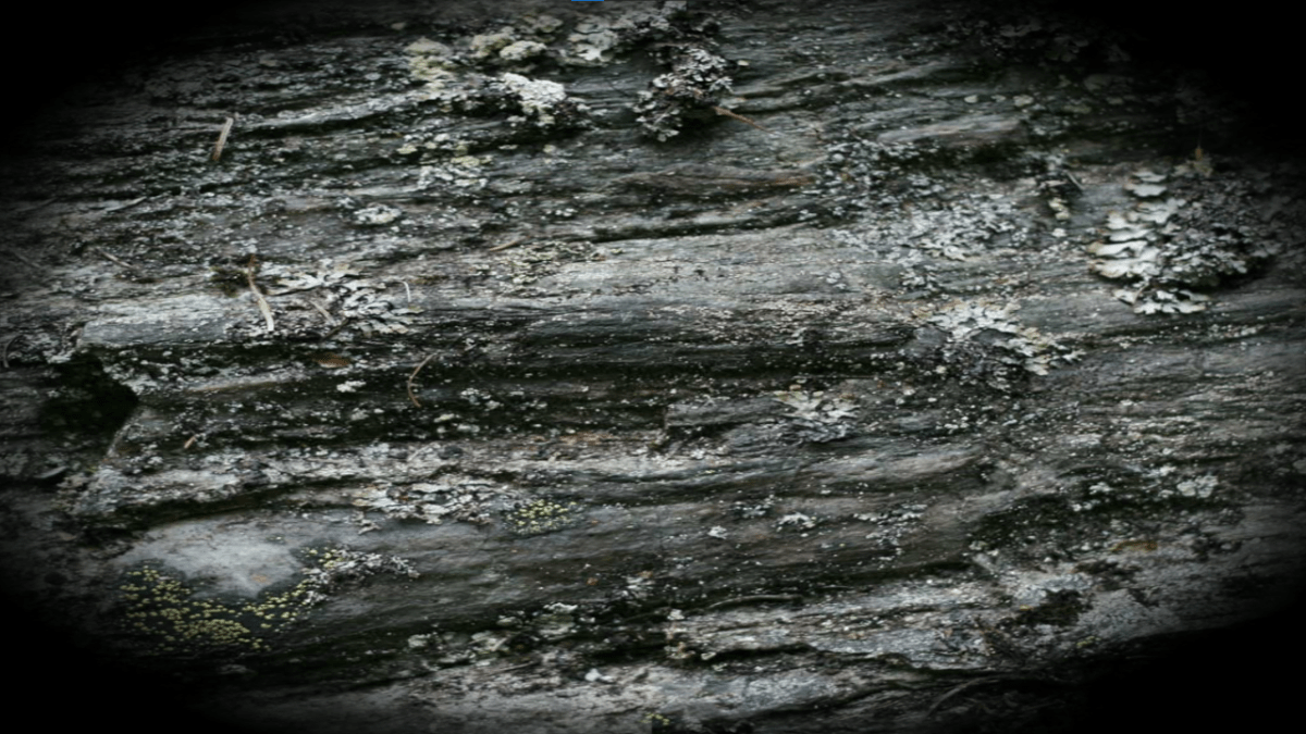 Creating a simple vignette in&nbsp;Shadertoy