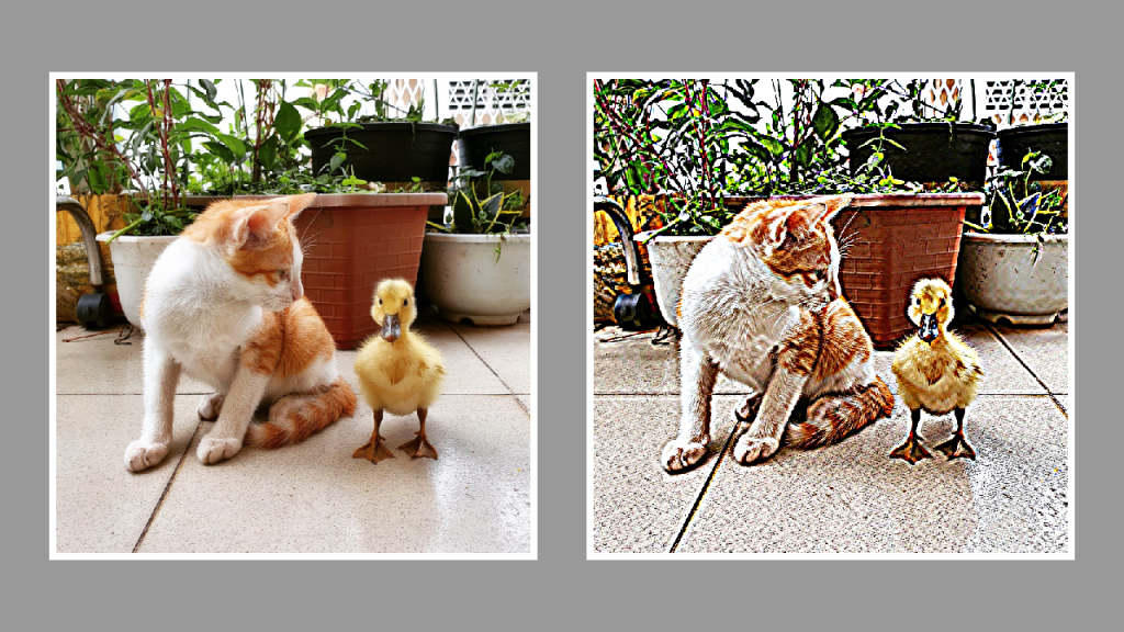 Cat and duck with and without sharpen applied