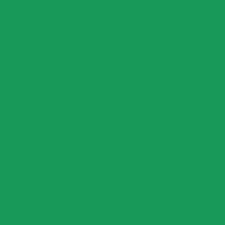 Background filled with green colour